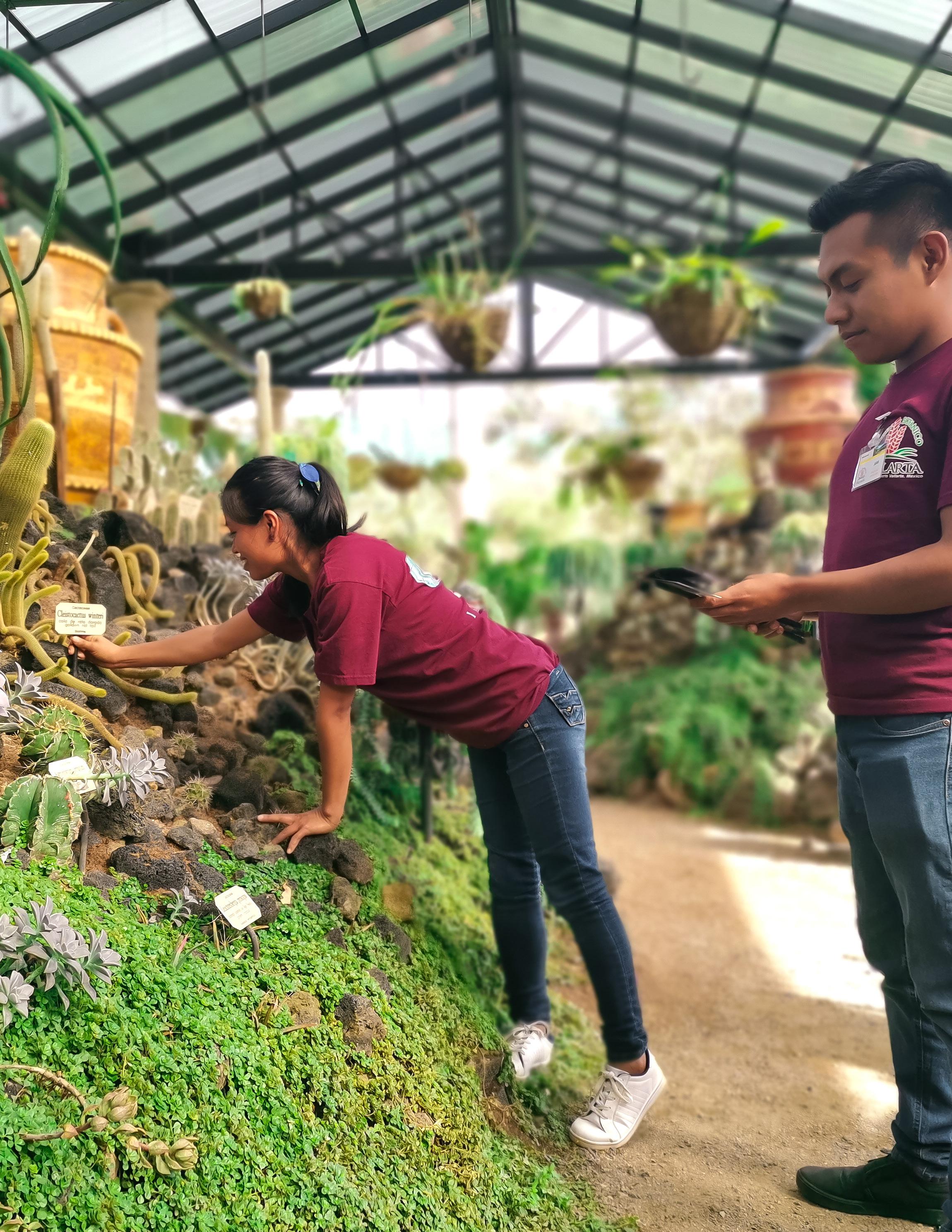 Reporte Escolar y de Voluntarios Education and Volunteer Report