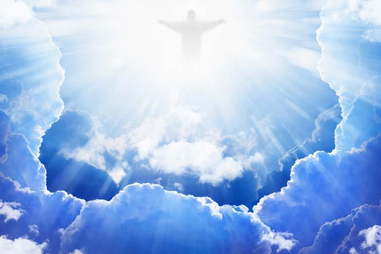 A Divine Appointment