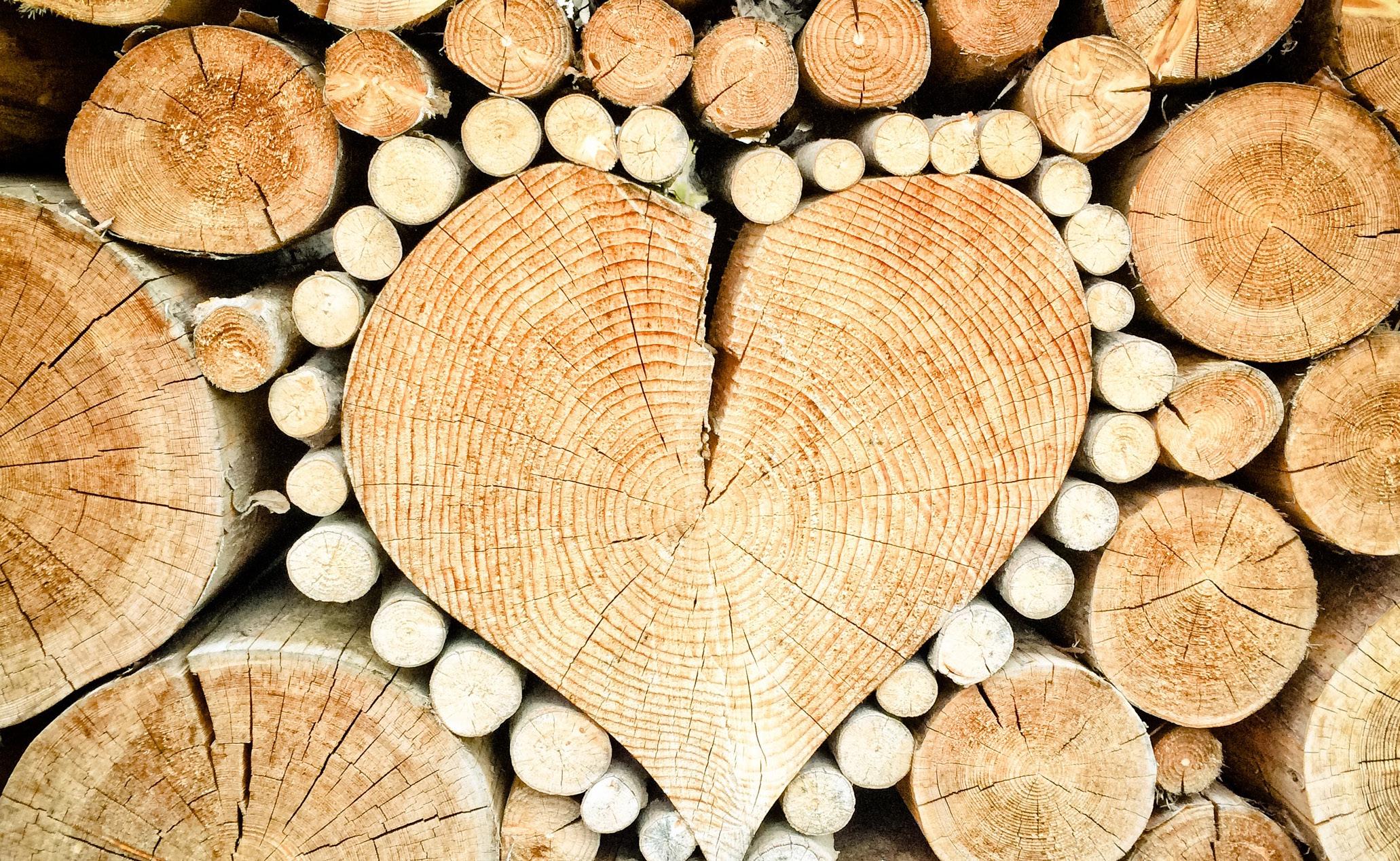 Article from: Sustainability Report 2020