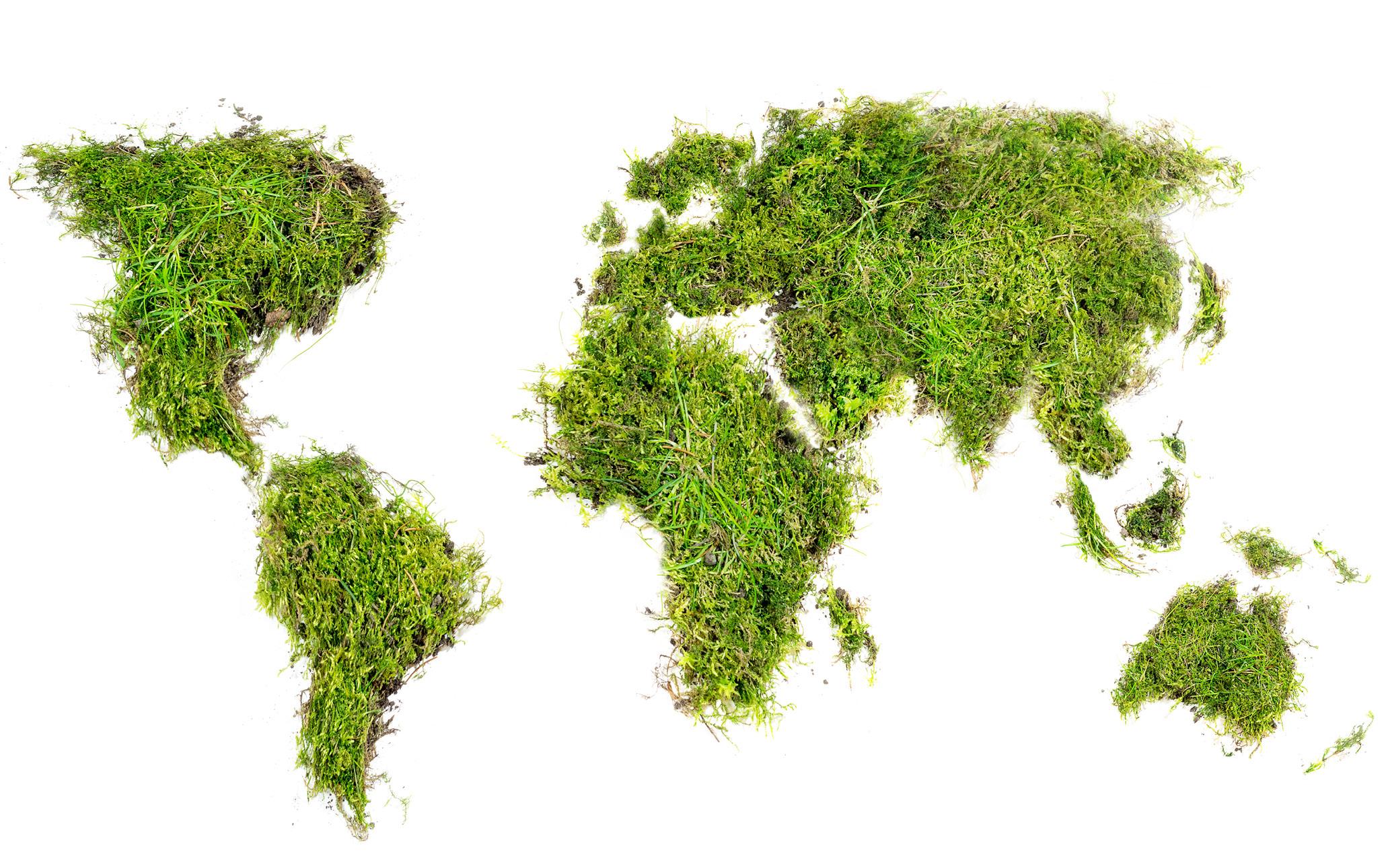 Article from: Sustainability Report 2020