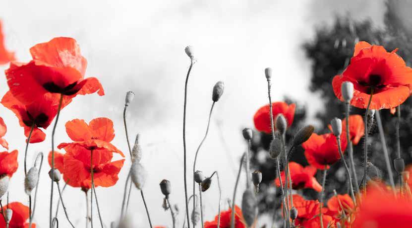 VE Day