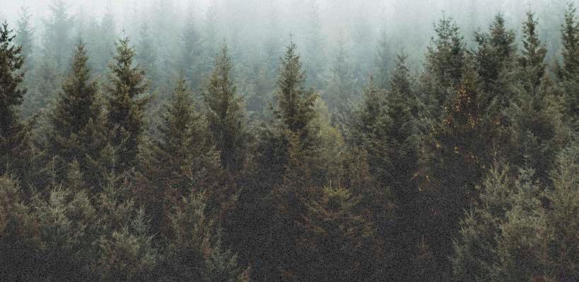 Article from: XANO sustainability report 2019
