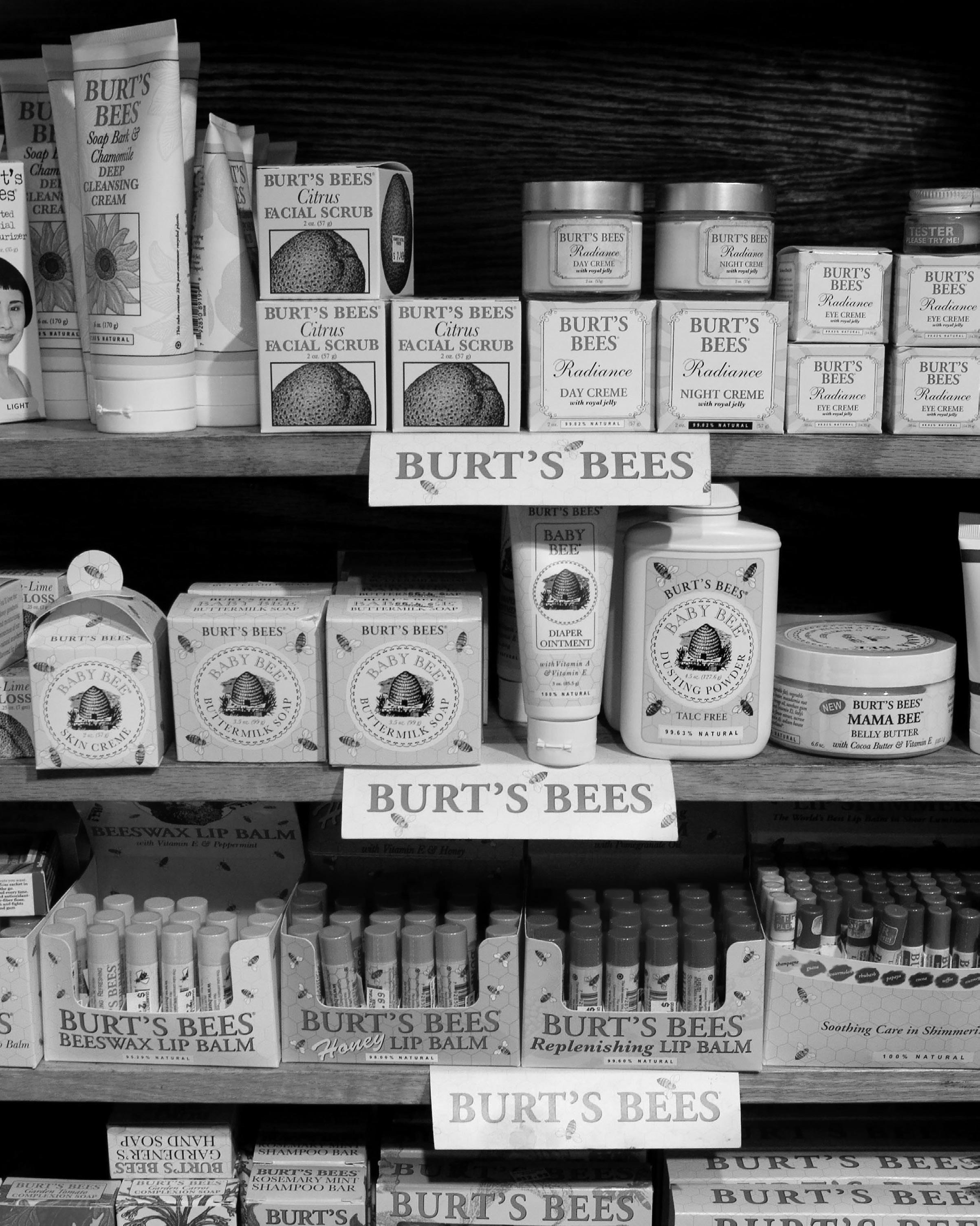 Burt's BeesVisual Strategy Guide // GR604 (Student Project) by Dong