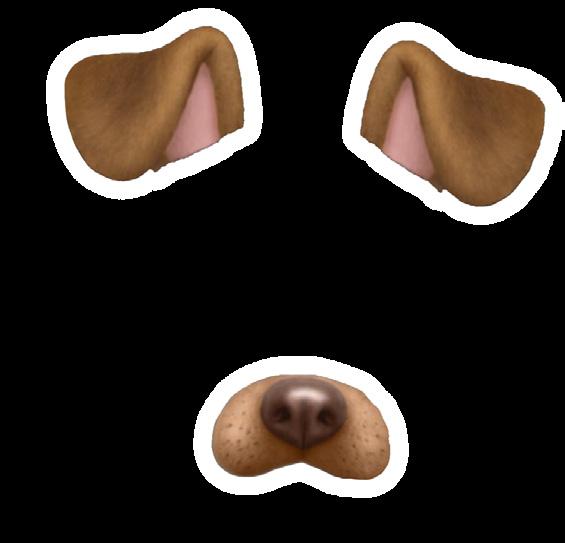 History of AR Filters Issuu