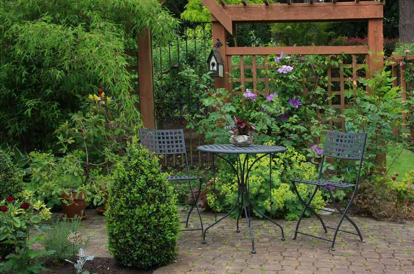 Year After Year, Perennials Keep Coming Back