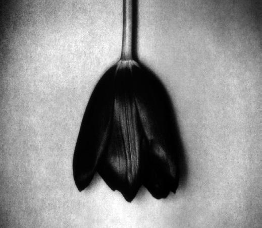 By Nightfall – Christine Horvath