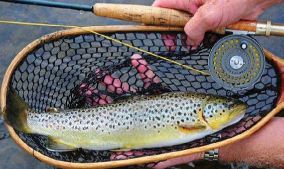 Fishing News