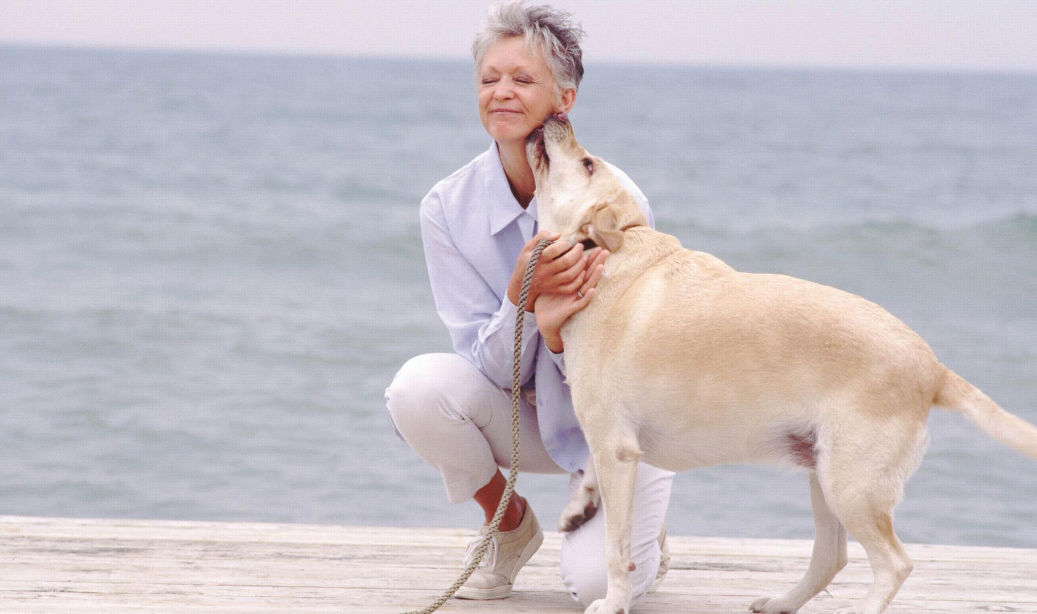 SAÚDE Doenças? Não. Estime o cão