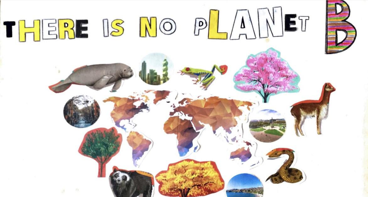 SEMANA AMBIENTAL