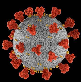 Page 30 of Pandemics