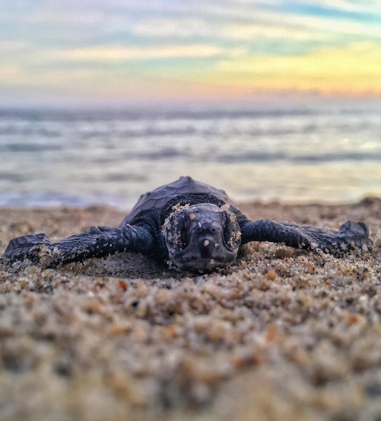 ZOOLOGY WITH MARINE BIOLOGY - Issuu