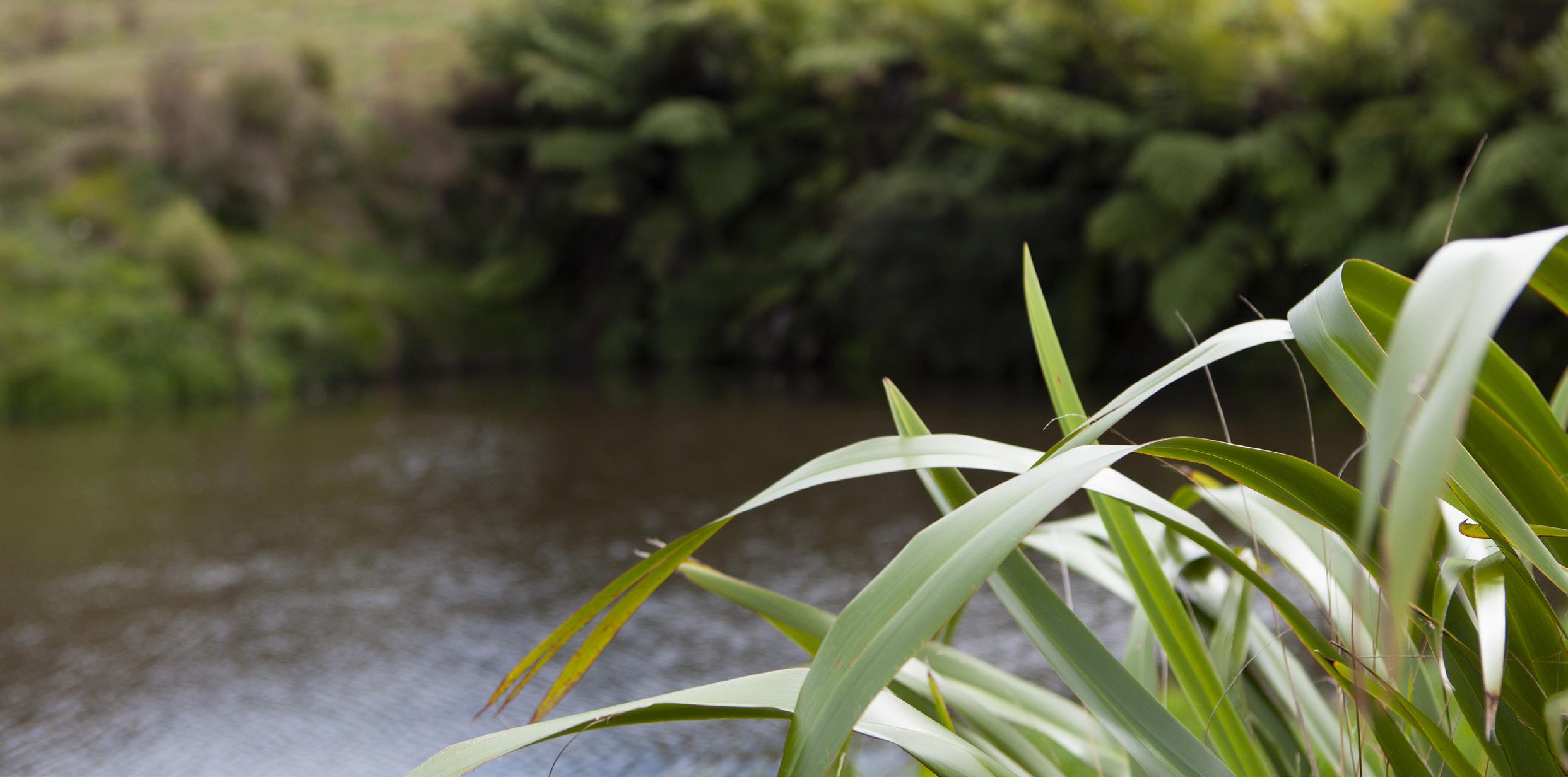 New environmental project fund launched