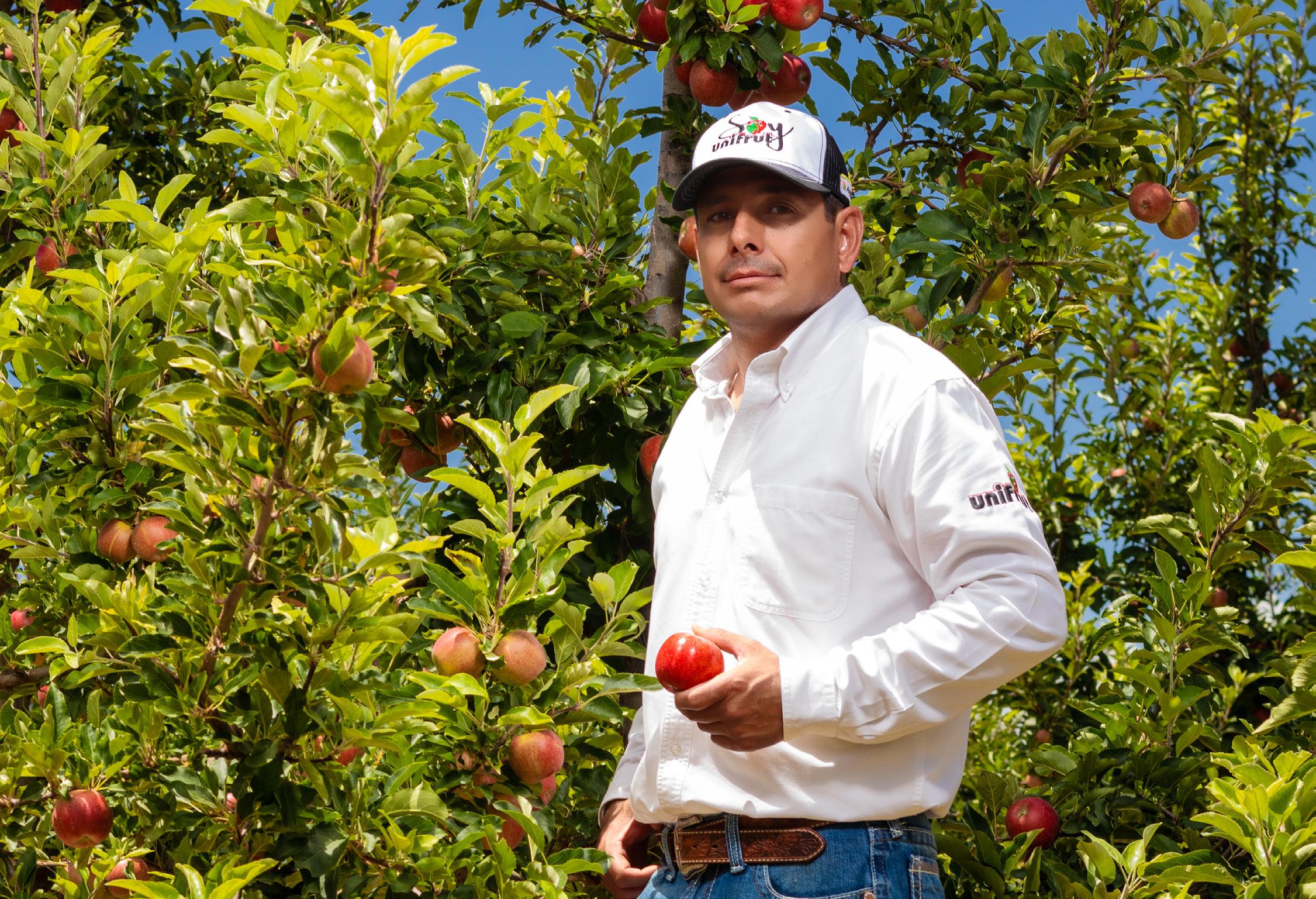 ENTREVISTA AL ING. MAURICIO GONZÁLEZ RIVERA