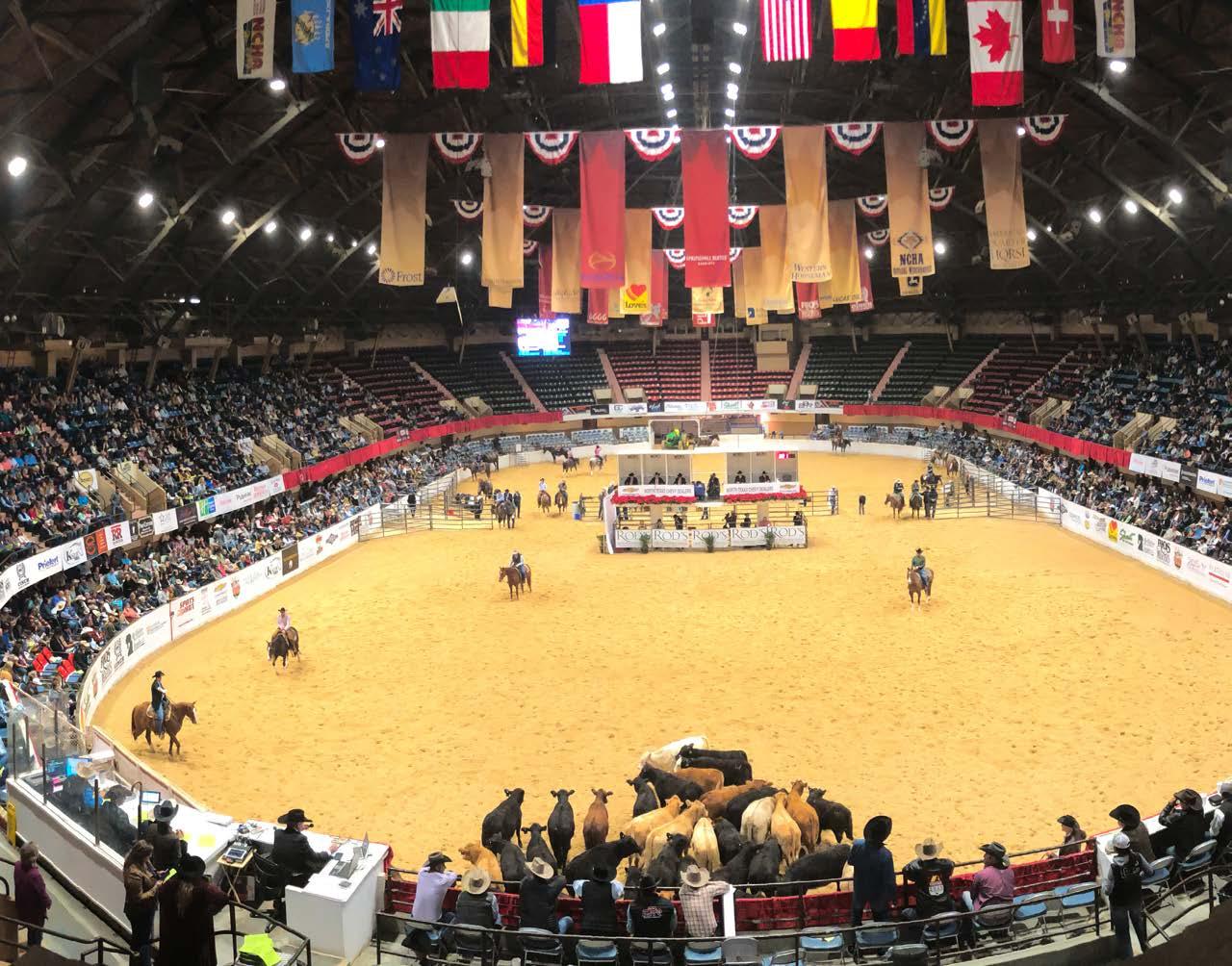 NCHA New Member Guide by National Cutting Horse Association Issuu