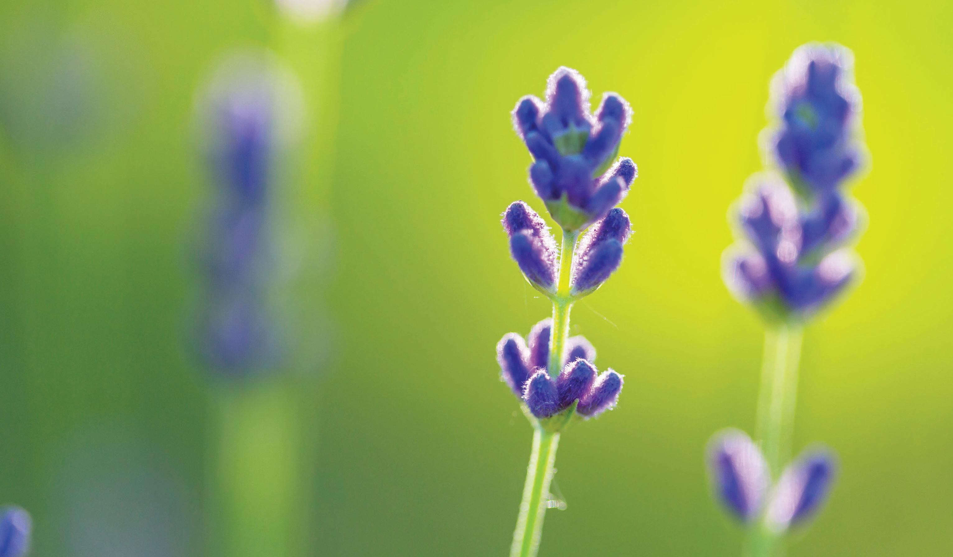 Spring is here