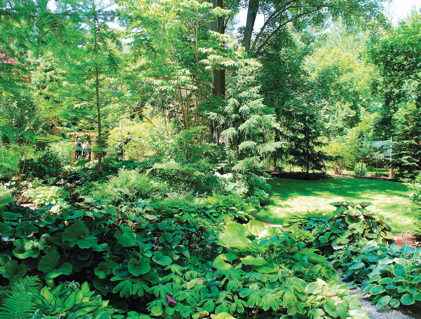 Article from: Michigan Gardener - September / October 2020