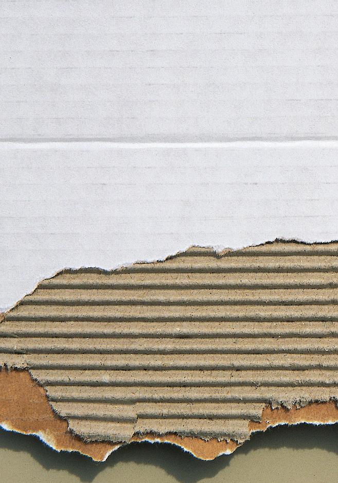 The latest developments keeping corrugated packaging ahead of the curve