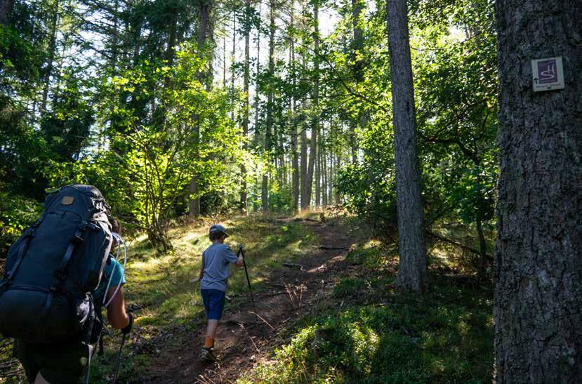 WANDELAVONTUUR | Duitsland