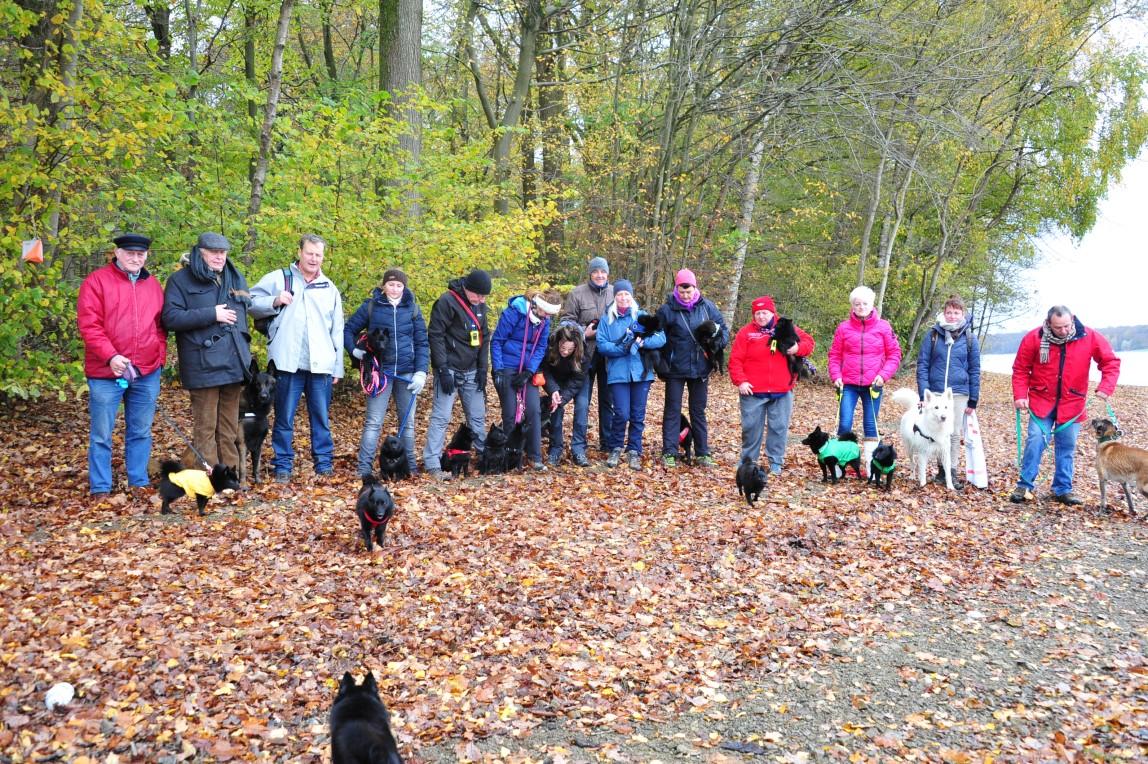 royal schipperke club