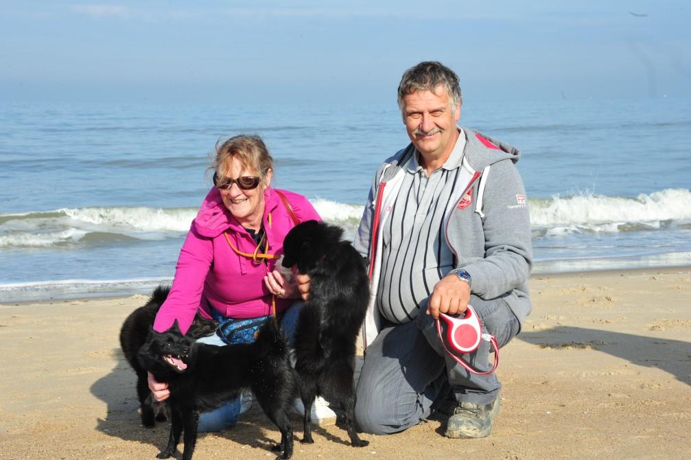 royal schipperke club