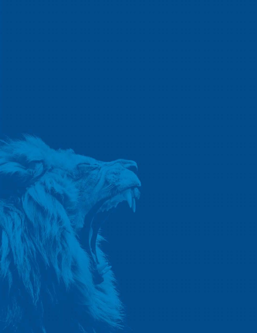 Building it in Africa, a Collaborative Approach