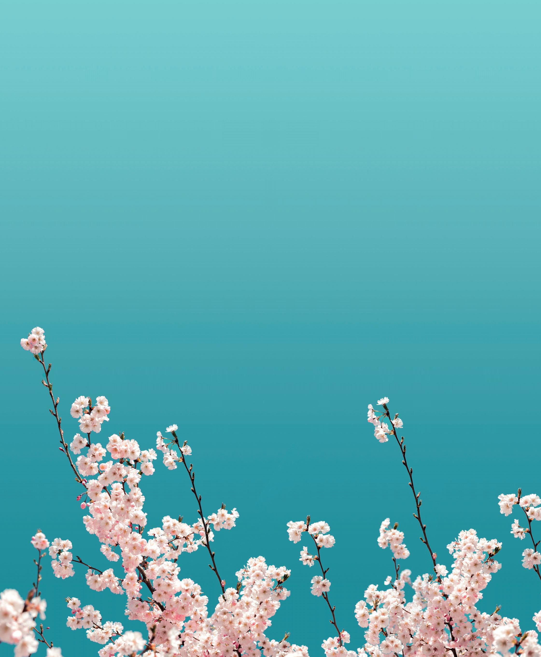 Cover for Q2 regional conferences