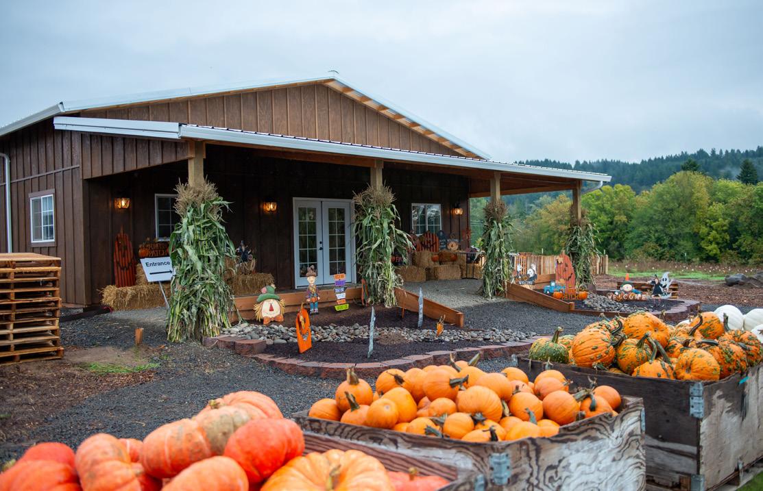 FEATURE Frog Pond Farm Issuu