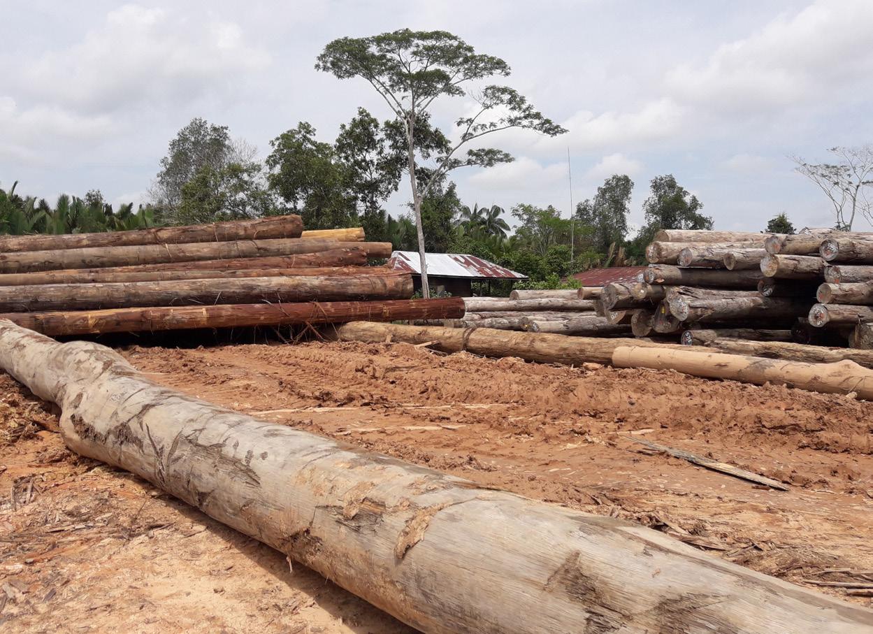 Noncompliance and Law Enforcement of Forest Product Utilization 