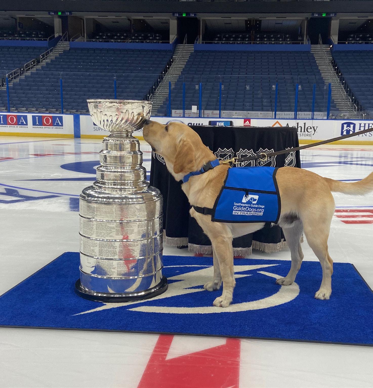 Southeastern Guide Dogs - Bolt's headed for the ice! Join us today