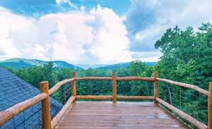 Article from: The Real Estate Buyer's Guide #97 - North Georgia Mountains