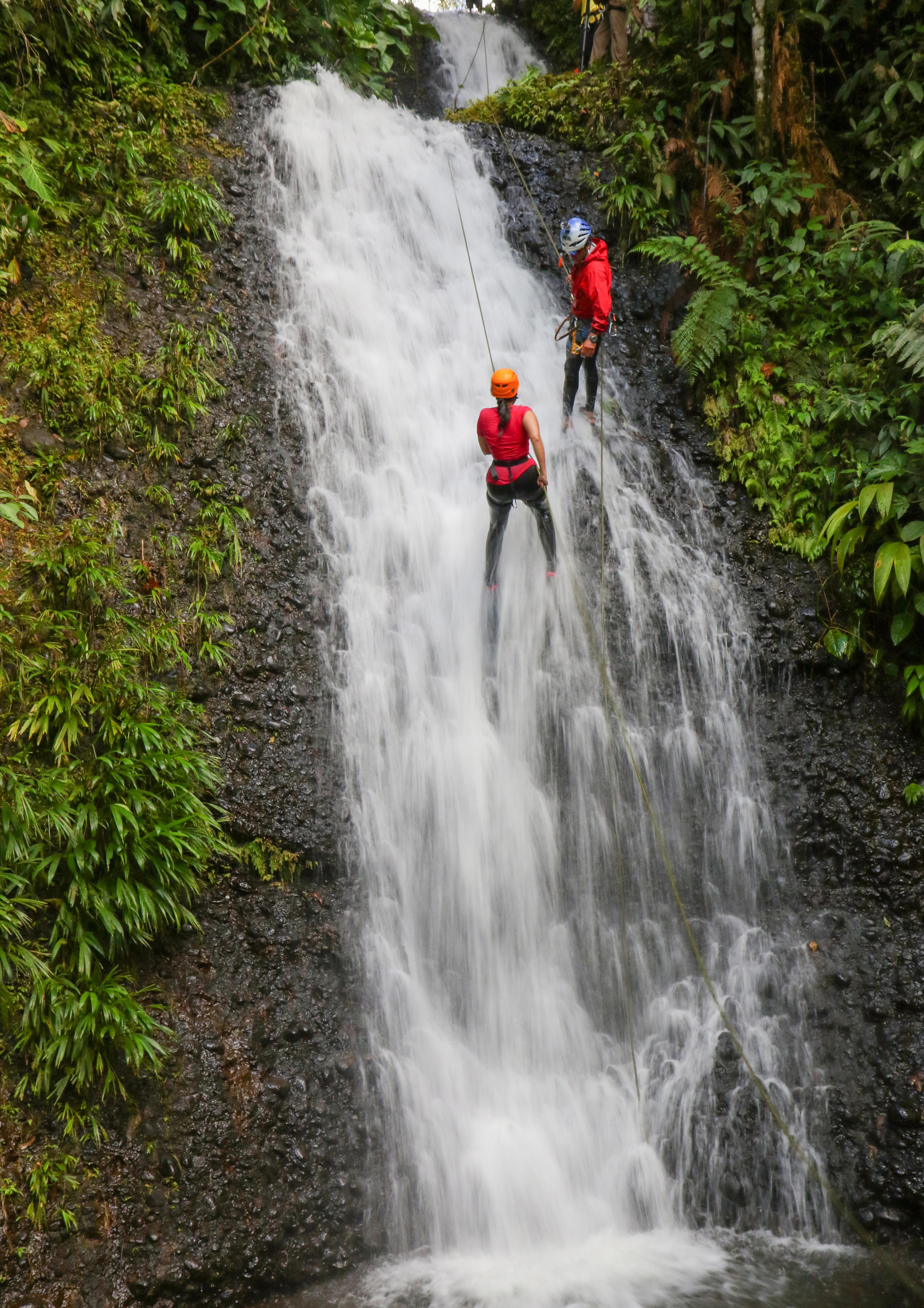 Article from: FERIADO 2 - 3 NOVIEMBRE 2020 - ECUADOR