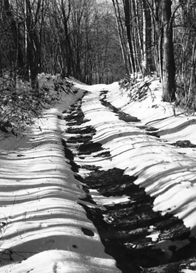 Hohenberger’s photo on a 1952 Christmas card. Hobb’s Branch Road.