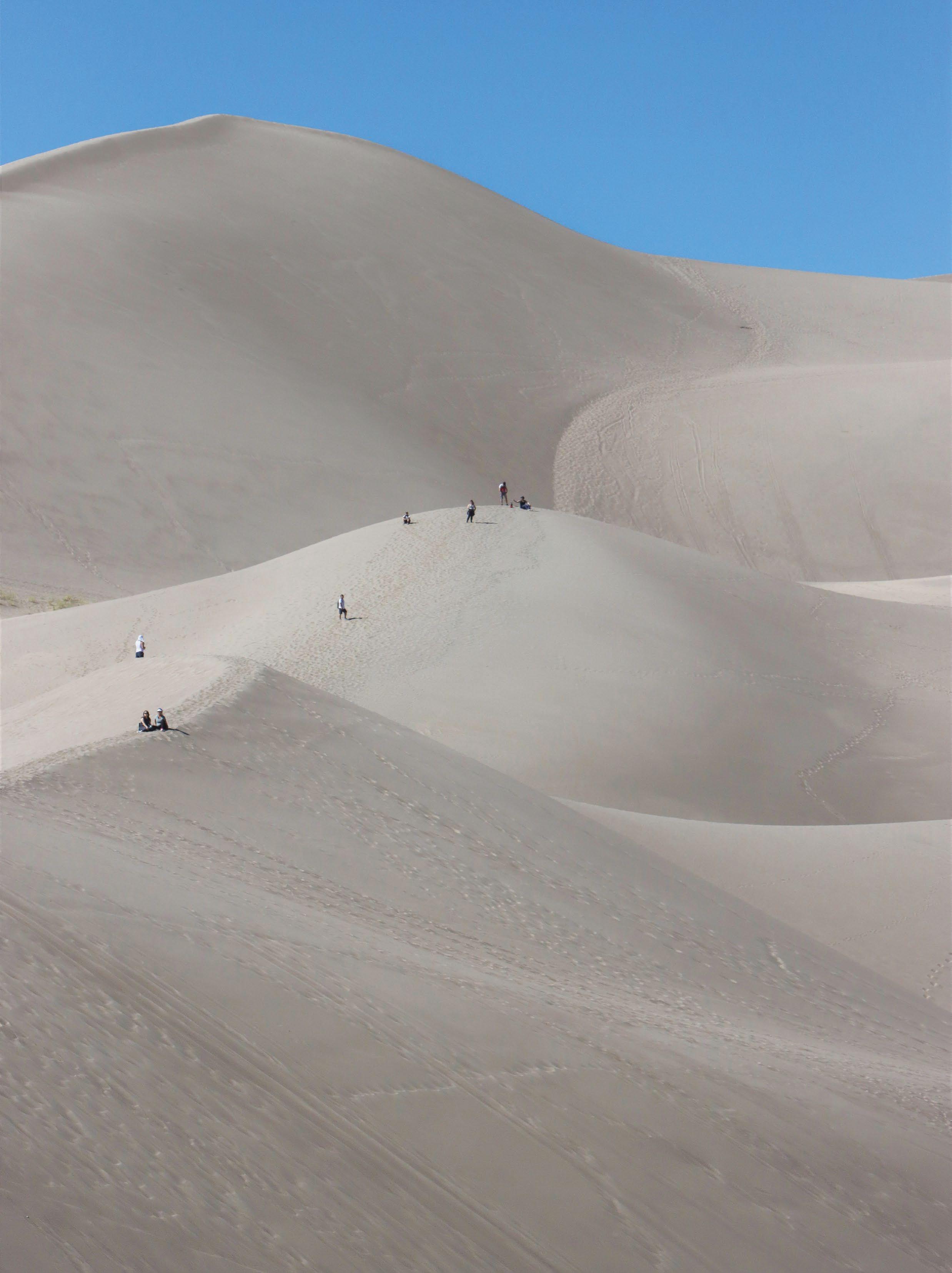 A SEA OF DUNES