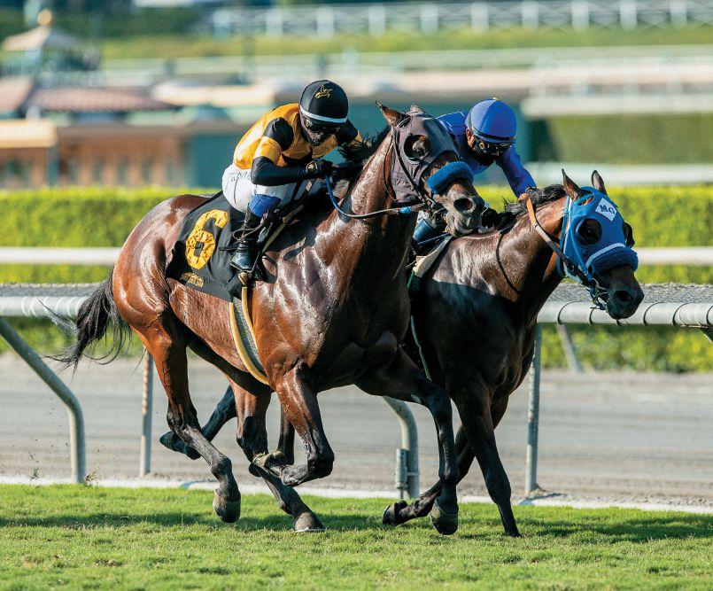 Article from:  California Thoroughbred Magazine November 2020