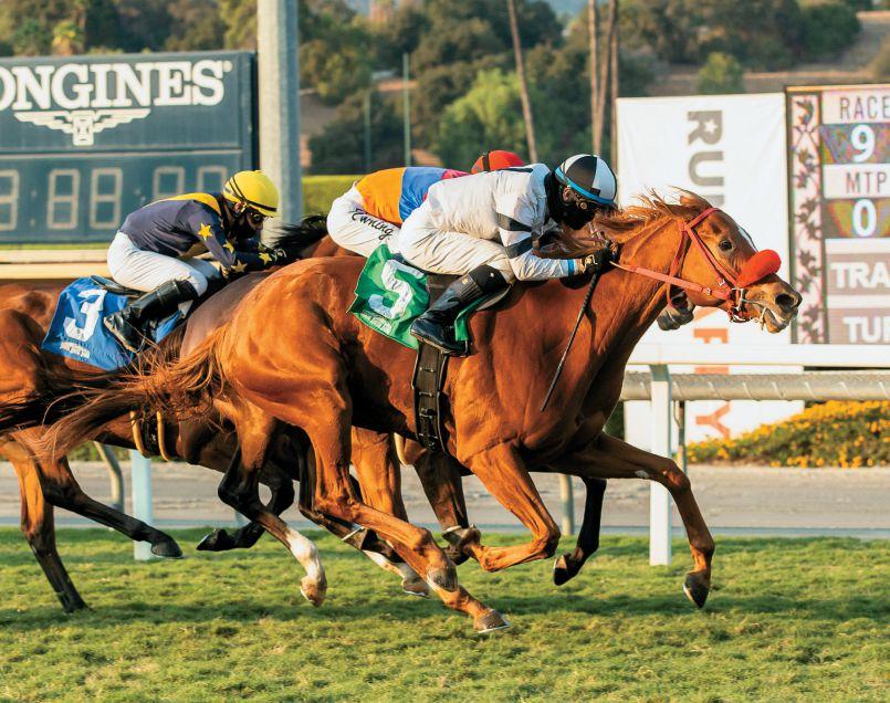 Article from:  California Thoroughbred Magazine November 2020