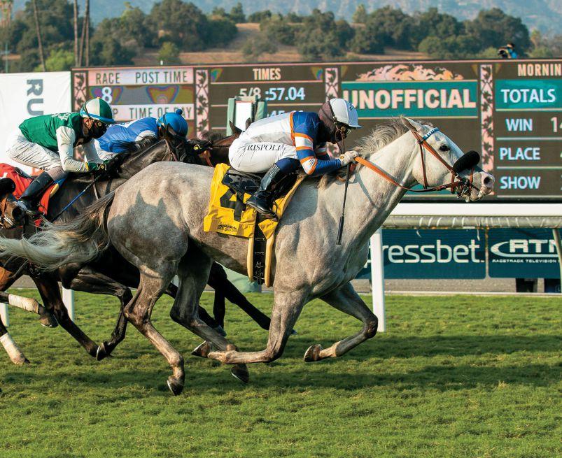 Article from:  California Thoroughbred Magazine November 2020