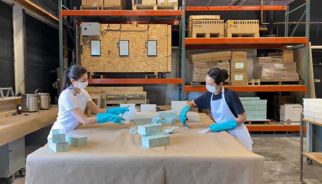 Building as Domestic Labor, Ana-Maria Leon