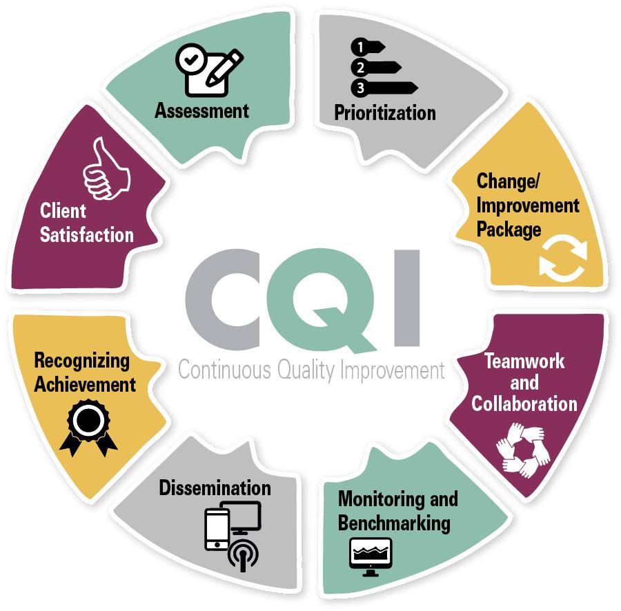 CQI Resource Guide by Ciheb.PHIA - Issuu