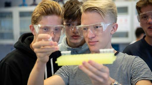 Naturvidenskabelige studieretninger