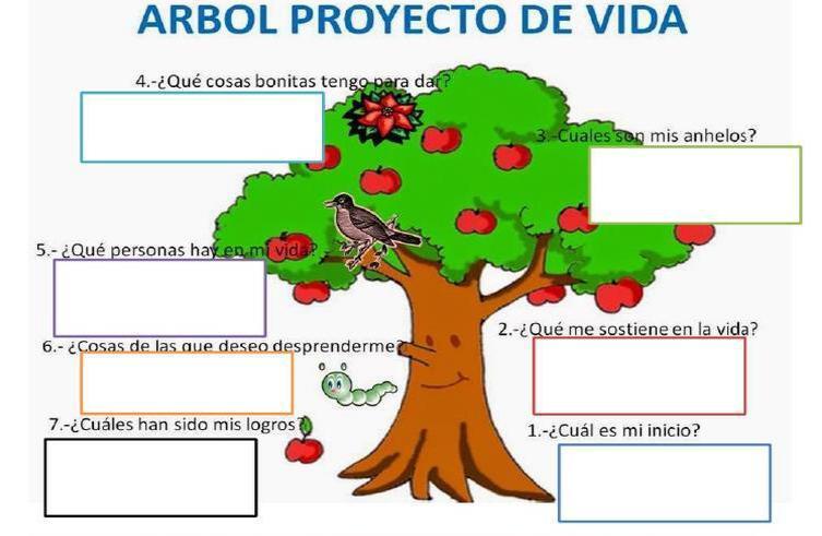 ARBOL PORYECTO DE VIDA - Issuu