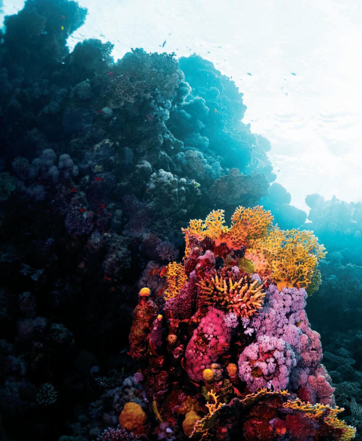 DertourLife-5-iarna-2020-2021 by magazine - Issuu