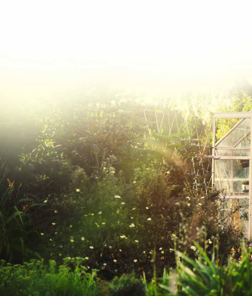 Garden jobs for the winter