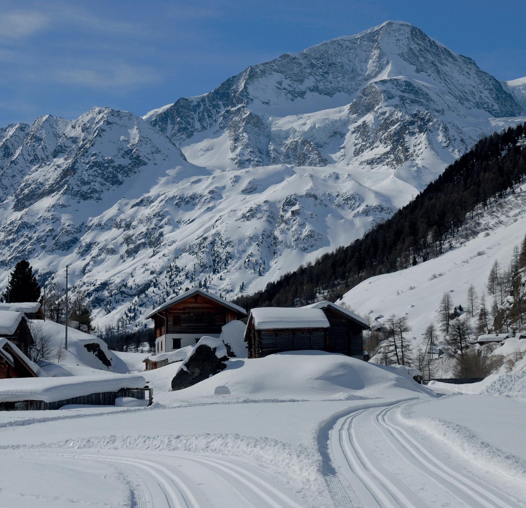 Ski nordique - Langlauf - Nordic skiing