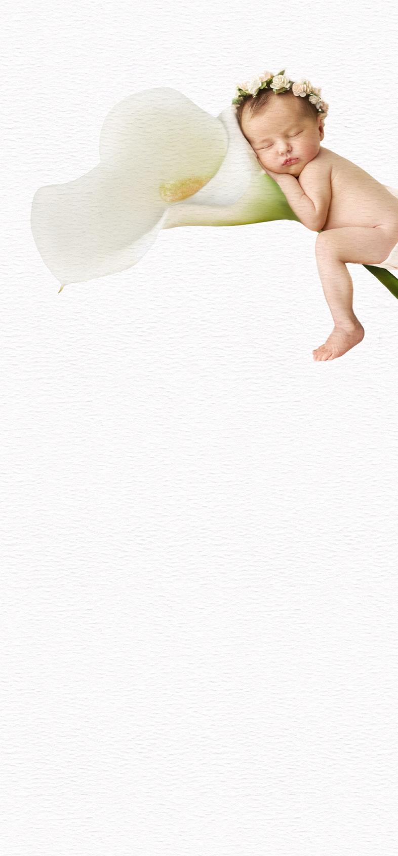 LA CALLA
