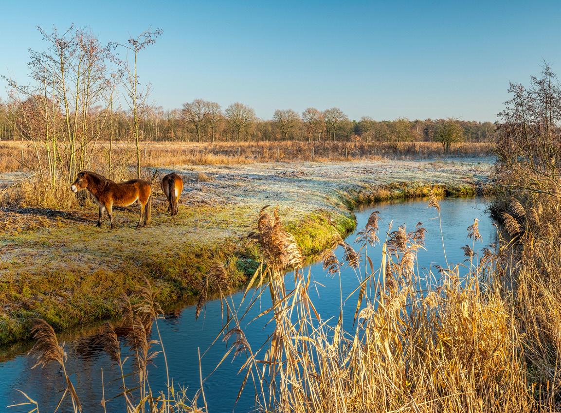 Article from: Puur Natuur Winter 2020