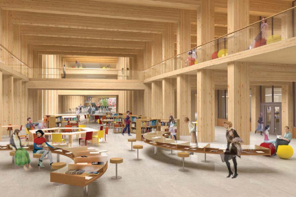 Into the woods: How a resurgence in timber could redefi ne construction