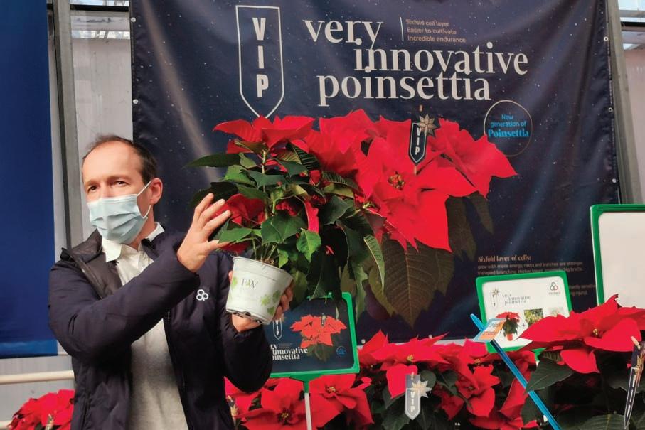ASSORTIMENTI Più forti della paura di Costanza di Matteo