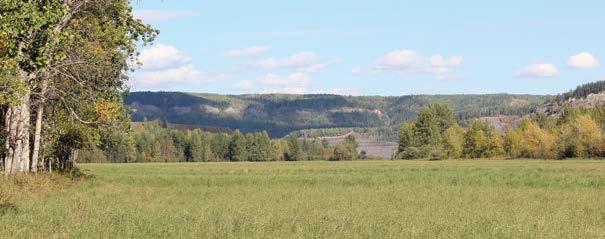 SURVEYING IN BRITISH COLUMBIA