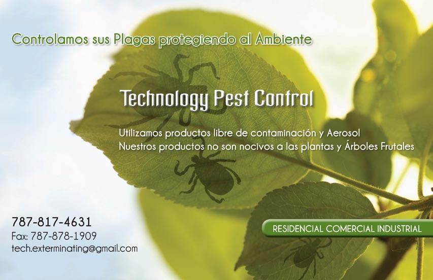 Article from: Revista Ambiental