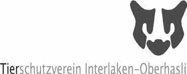 Tiere suchen ein Zuhause